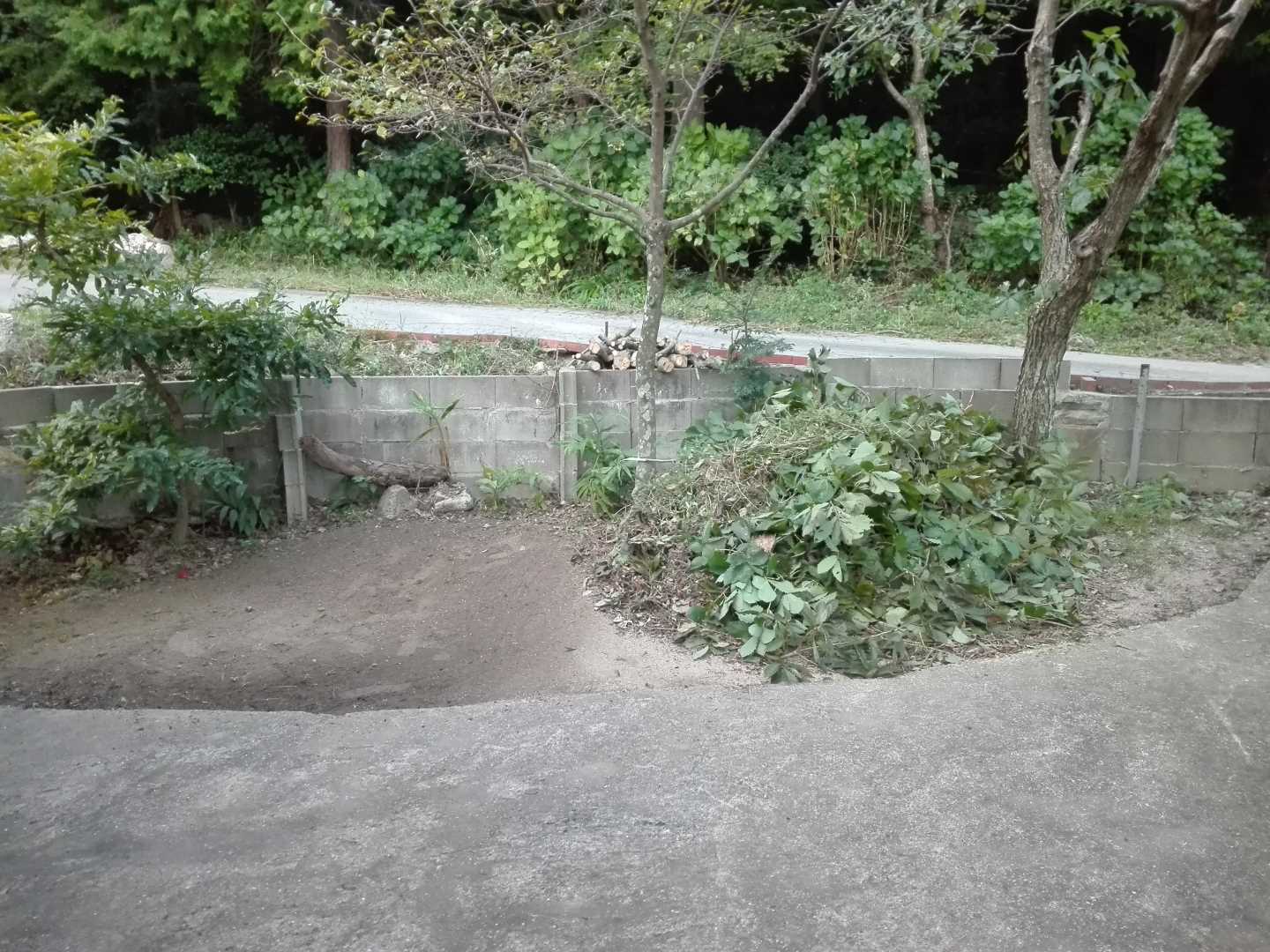 ガレージの草むしり